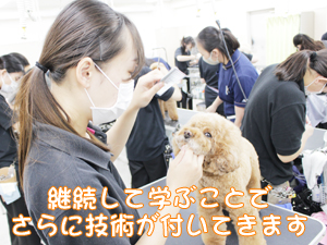 ２年生のトリミング実習♪